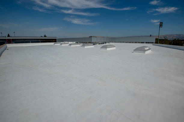 Best Rubber Roofing (EPDM, TPO)  in Wheaton, MN