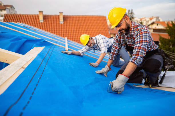 Best Storm Damage Roof Repair  in Wheaton, MN