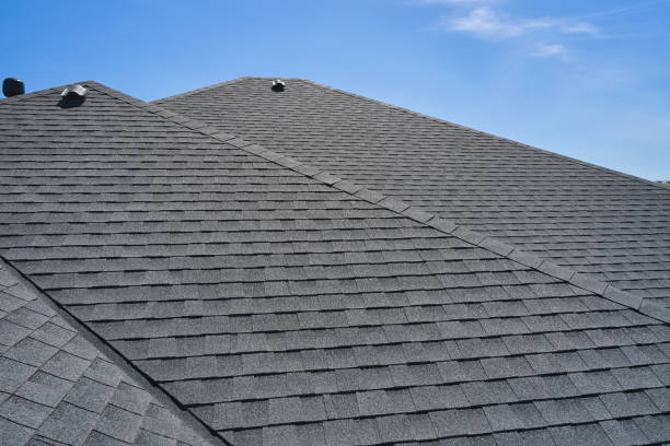 Best Sheet Metal Roofing  in Wheaton, MN