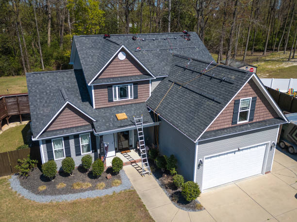 Best Asphalt Shingle Roofing  in Wheaton, MN